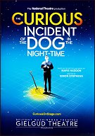 2016: THE CURIOUS INCIDENT OF THE DOG IN THE NIGHT-TIME